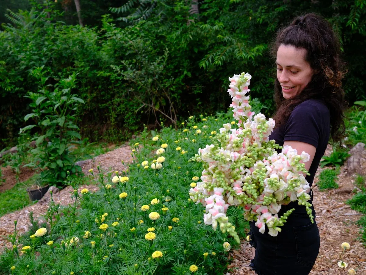 woman in blue dress on flower farm with dahlias